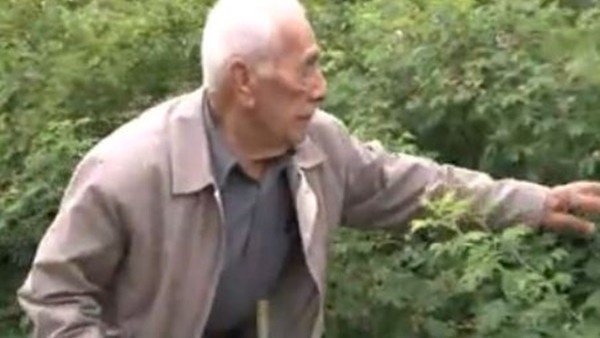 96 yaşında sağlığını spora borçlu