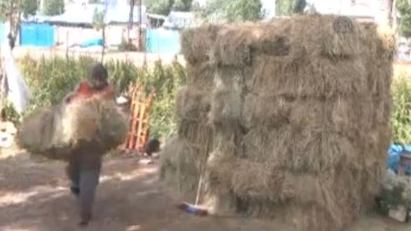 Çobanlık yapan engelli milli sporcu destek bekliyor 