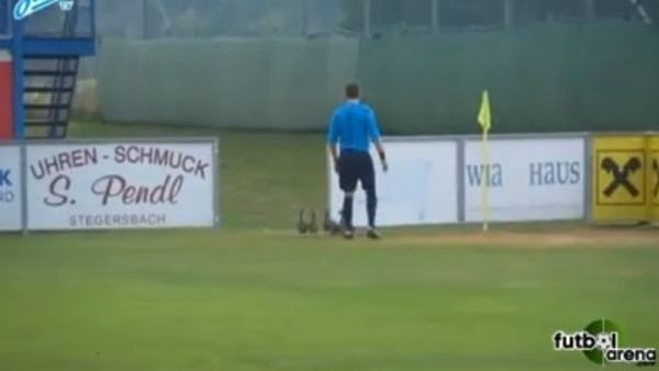 Sahada davetsiz misafirler