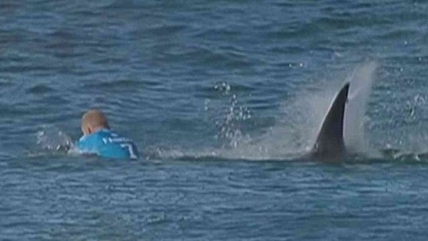 Canlı yayında köpekbalığı saldırısı