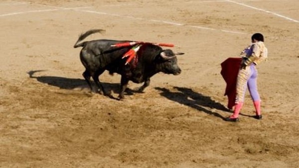 Boğadan Matadora Unutamayacağı Ders