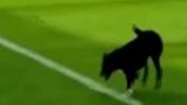 Sahanın yıldızı oldu