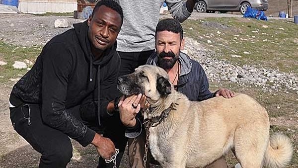 Eneramo: 'Beşiktaş'a gol atarsam, köpeklerime hediye edeceğim'