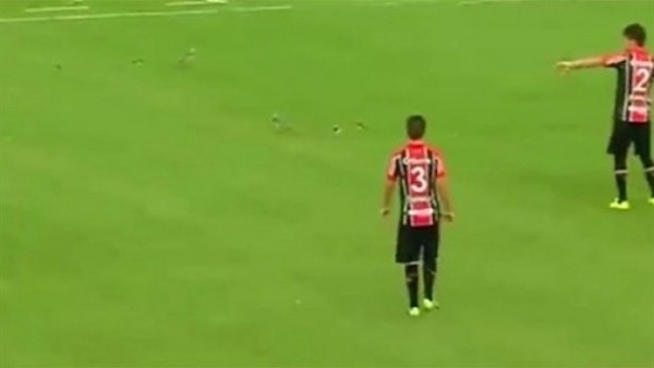 Maça Giren Kuş Sürüsü Oyunu Durdurdu