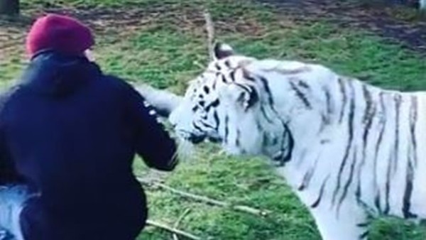 Lewis Hamilton kaptanla kedi gibi oynadı