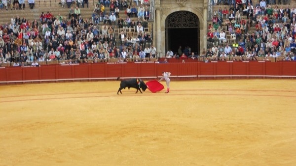 İngiliz turist boğanın gazabına uğradı