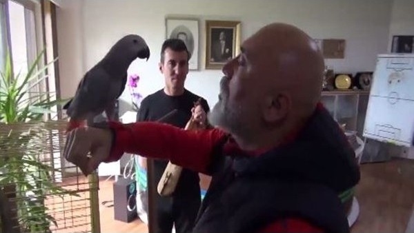 Hikmet Karaman'dan papağana: 