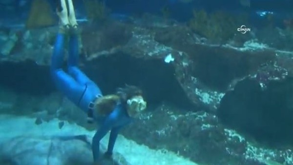 Rekortmen yüzücü köpek balıklarıyla daldı