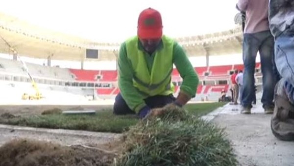 Eskişehirspor'un yeni stadına çimler seriliyor