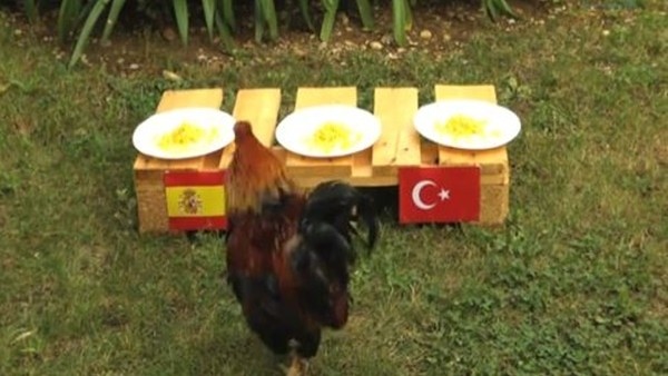 Balthazar'dan Türkiye-İspanya tahmini