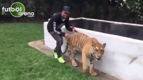 Formula 1 pilotu kaplanı korkuttu