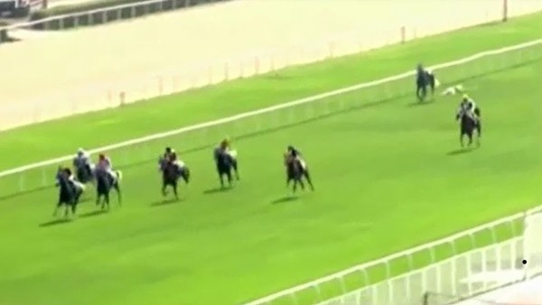 Jokey Ömer Kaya'nın atıyla beraber düşme anı