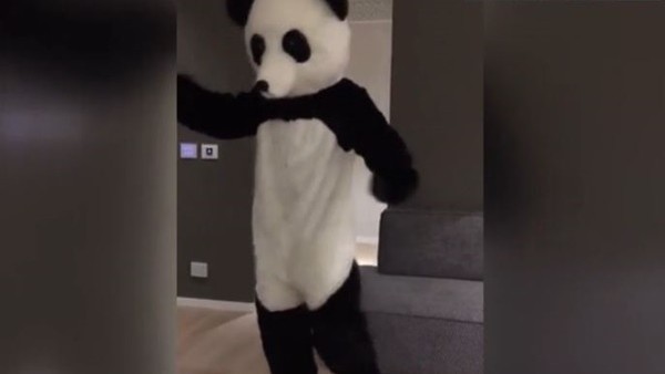 Irkçılığa karşı panda kostümü giydi
