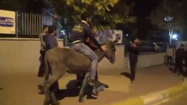 Fenerbahçeli taraftar galibiyeti eşek sırtında kutladı