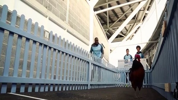 Manchester City'li oyuncuların horozla imtihanı