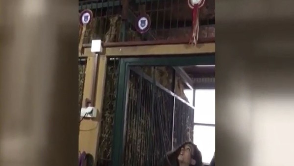 Van Persie ve oğlu yengeyi korkuttu!