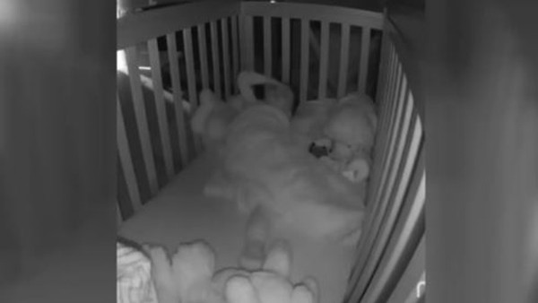 2 yaşındaki bebeğin tezahüratı