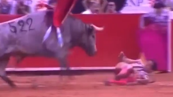 Boğa matadoru gafil avladı