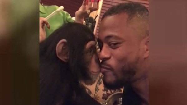 Patrice Evra'dan şempanzeye öpücük