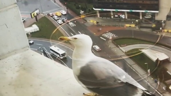 Emenike, Dursun Özbek'in otelinde