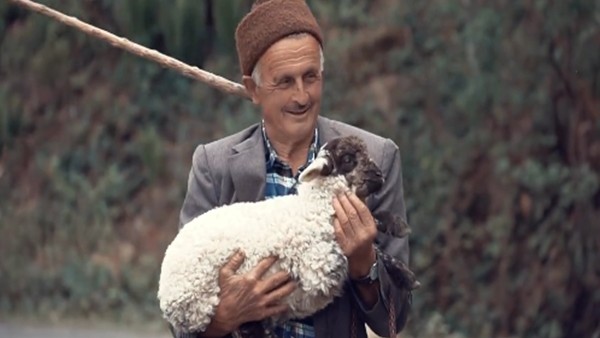 Trabzonsporlu çobanın taraftarlık hikayesi