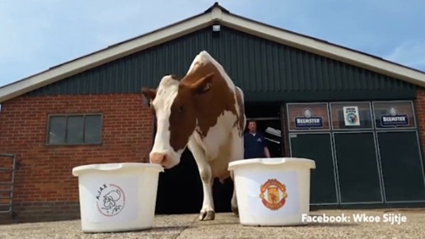 Ajax mı, Manchester United mı?