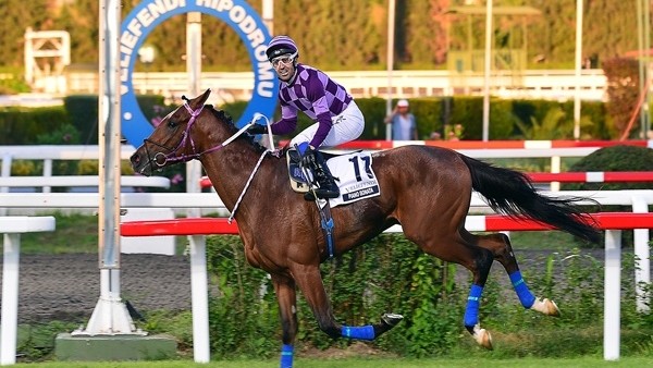 91. Gazi Koşusu'nu Piano Sonata kazandı