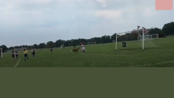 Almanya Kadınlar Ligi'nde şok!