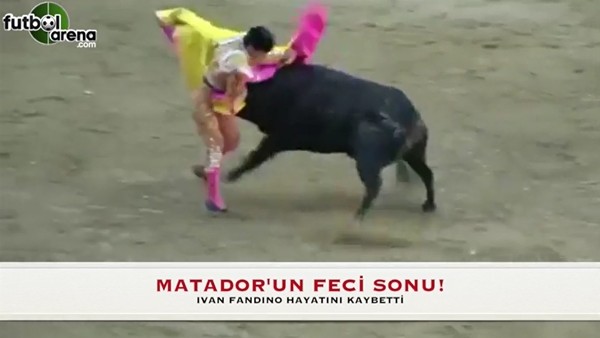 Matador, 15 cm boynuz darbesi aldı ve hayatını kaybetti!