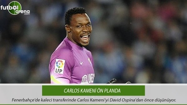 Fenerbahçe'de kaleci transferinde Carlos Kameni ön planda