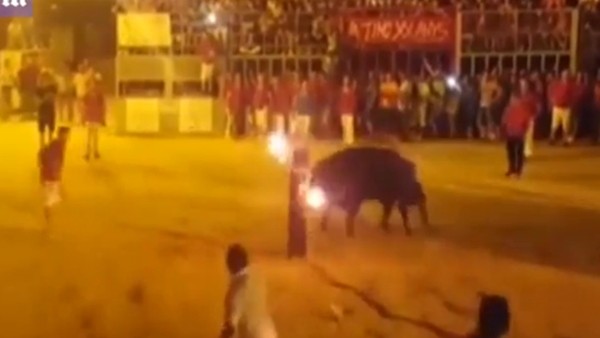 Boğaya bunu da yaptılar!