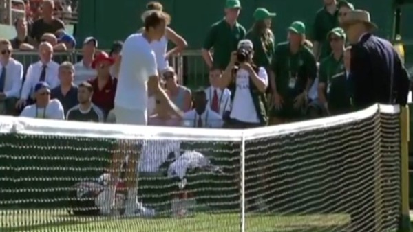 Medvedev, hakeme bozuk para fırlattı!