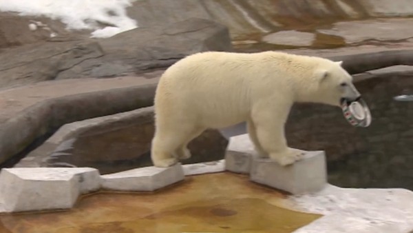 Kahin Nika "Almanya" dedi