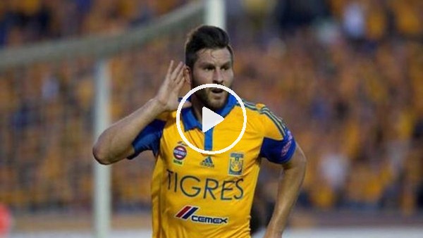 Andre Pierre Gignac'tan tablo gibi gol!