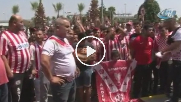 ''Ali Şafak Fiko'yu satın alsana''