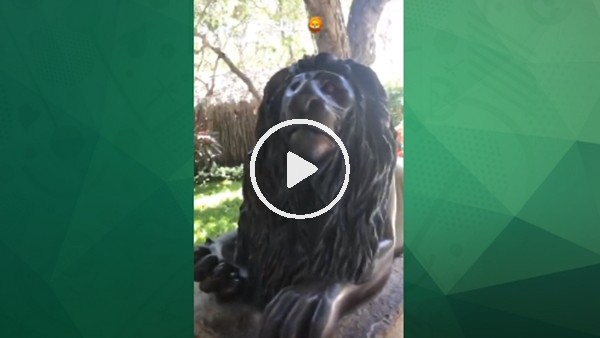 Felipe Melo: "Aslan kardeşim ya"