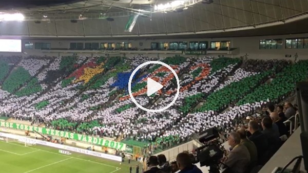 Bursaspor taraftar grubu Teksas 50 yaşında