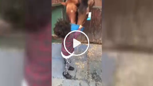 Noah'ın keyfi yerinde