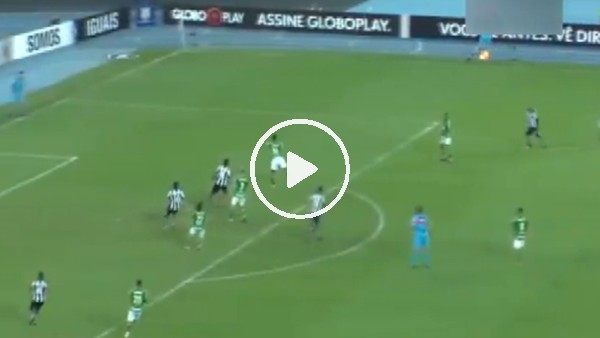 Wellington rakibini hayata küstürdü!