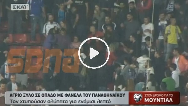 Olympiakos'un sahasına Panathinaikos formasıyla giren taraftar!