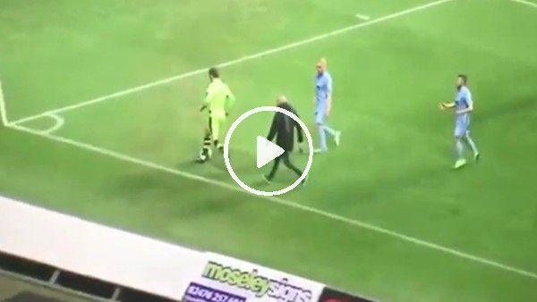 Sinirinden deliren taraftar sahaya indi!