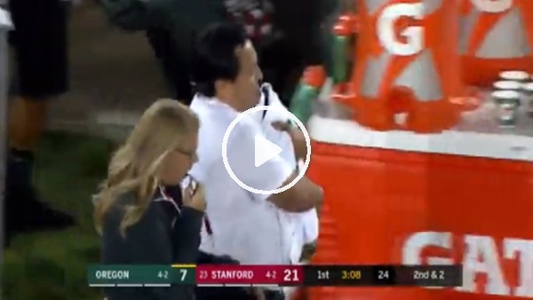 Maça damga vuran tavşan sonunda yakalandı