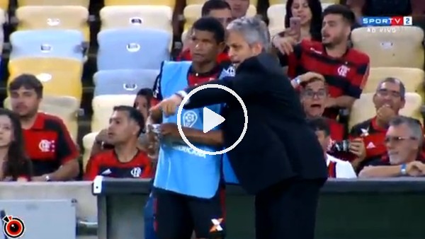 Taraftar, teknik direktöre "Hayır onu oyuna alma" diye bağırdı