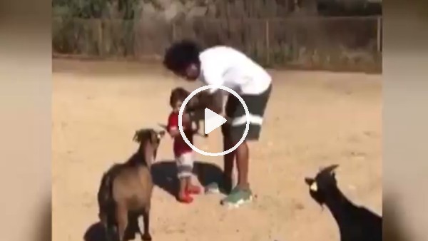 Marcelo ve ailesinin hayvanseverliği