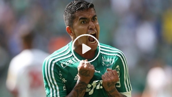 Beşiktaş'ın gözdesi Dudu, Gremio'yu dağıttı!