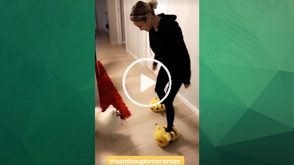 Eski yengenin hayvan sevgisi!