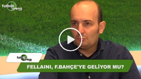 Fellaini, Fenerbahçe'ye geliyor mu? 