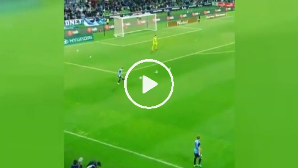 Martılar sahaya indi