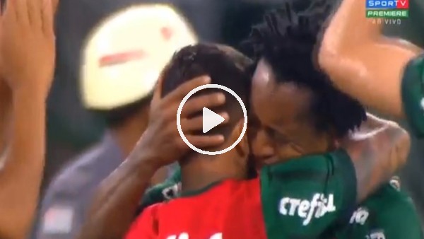 Brezilyalı Ze Roberto futbola veda etti