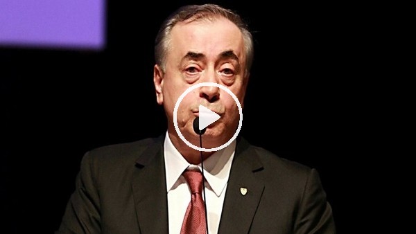 Mustafa Cengiz'den Fatih Terim ve transfer açıklaması